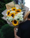 豐盛向日葵 Lush Sunflower